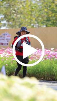 BIB:  <button type="button" onclick="openModal(27584481)" class="btn btn-primary btn-sm float-right" data-toggle="modal" data-target=".modal-high-quality">
                <i class="fa fa-download"></i> Download
                </button>